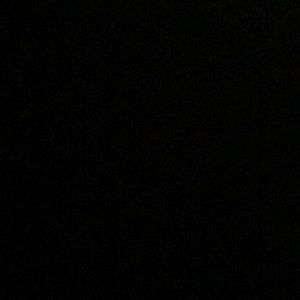 Meet your Posher, Sienna